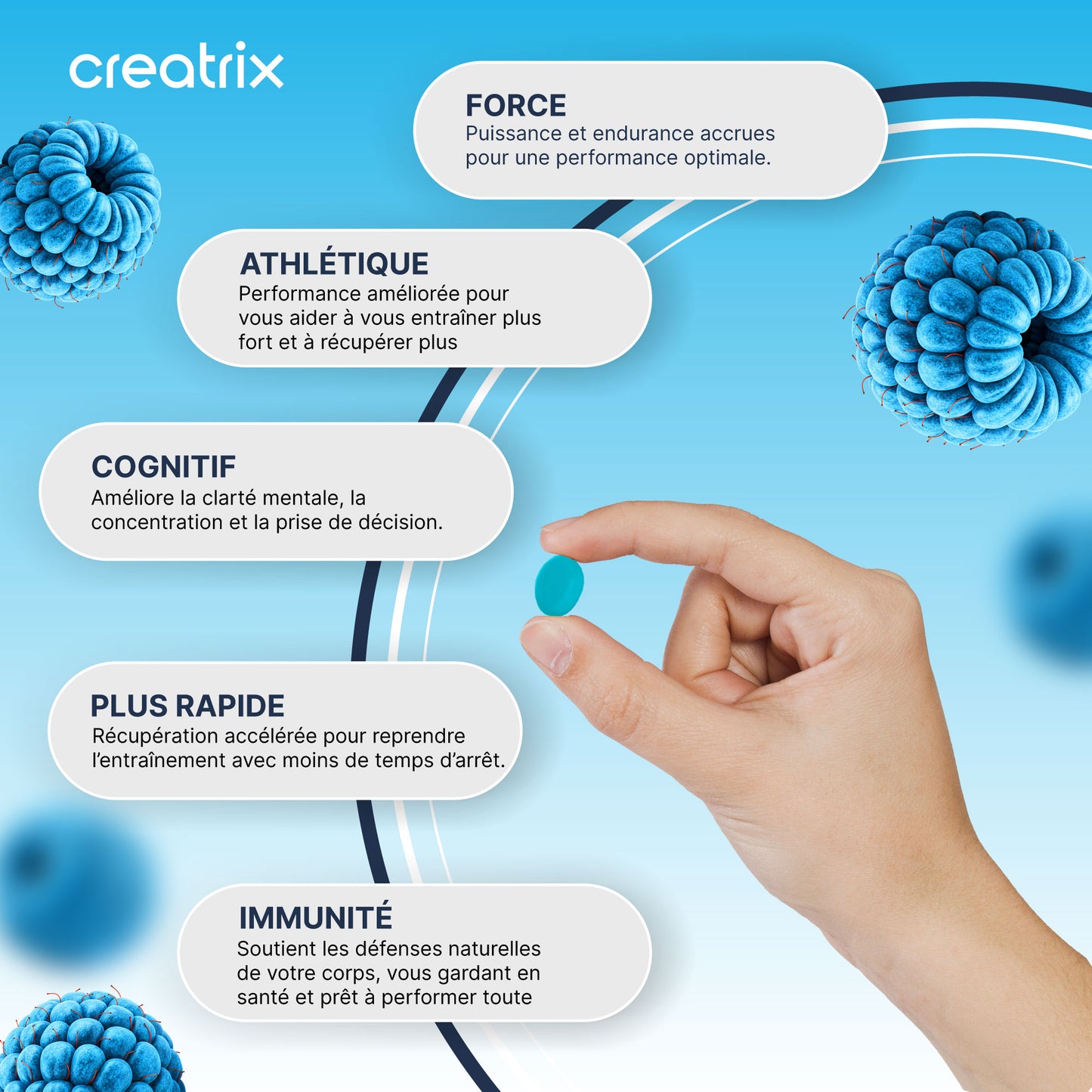 Creatrix® - Gommes de créatine